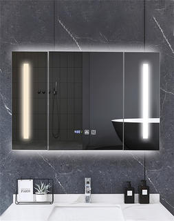 specularium specularium GGMC08