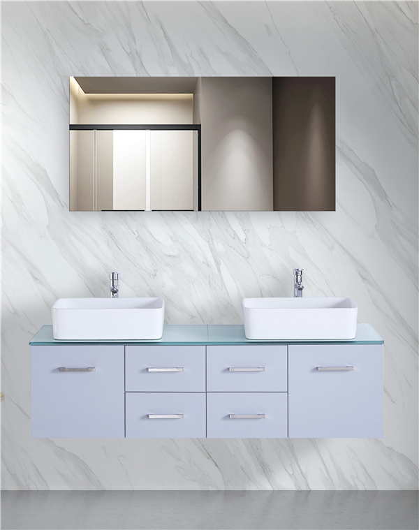 vanitas latrina unitates GGP21 